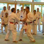 Le stage Adultes avec Romain LAFITTE et Sensei HOSHIRO