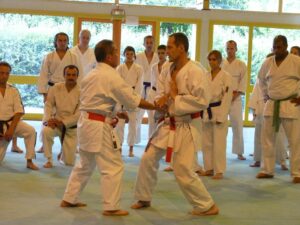 Le stage Adultes avec Romain LAFITTE et Sensei HOSHIRO