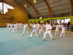 Stage Enfants avec Romain LAFITTE