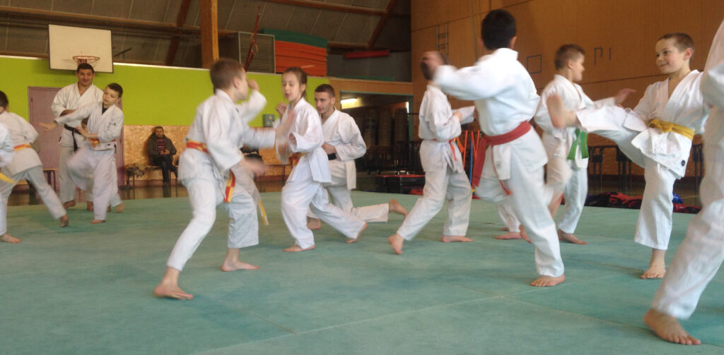 Entrainement du club de karaté de Renaison - Vougy