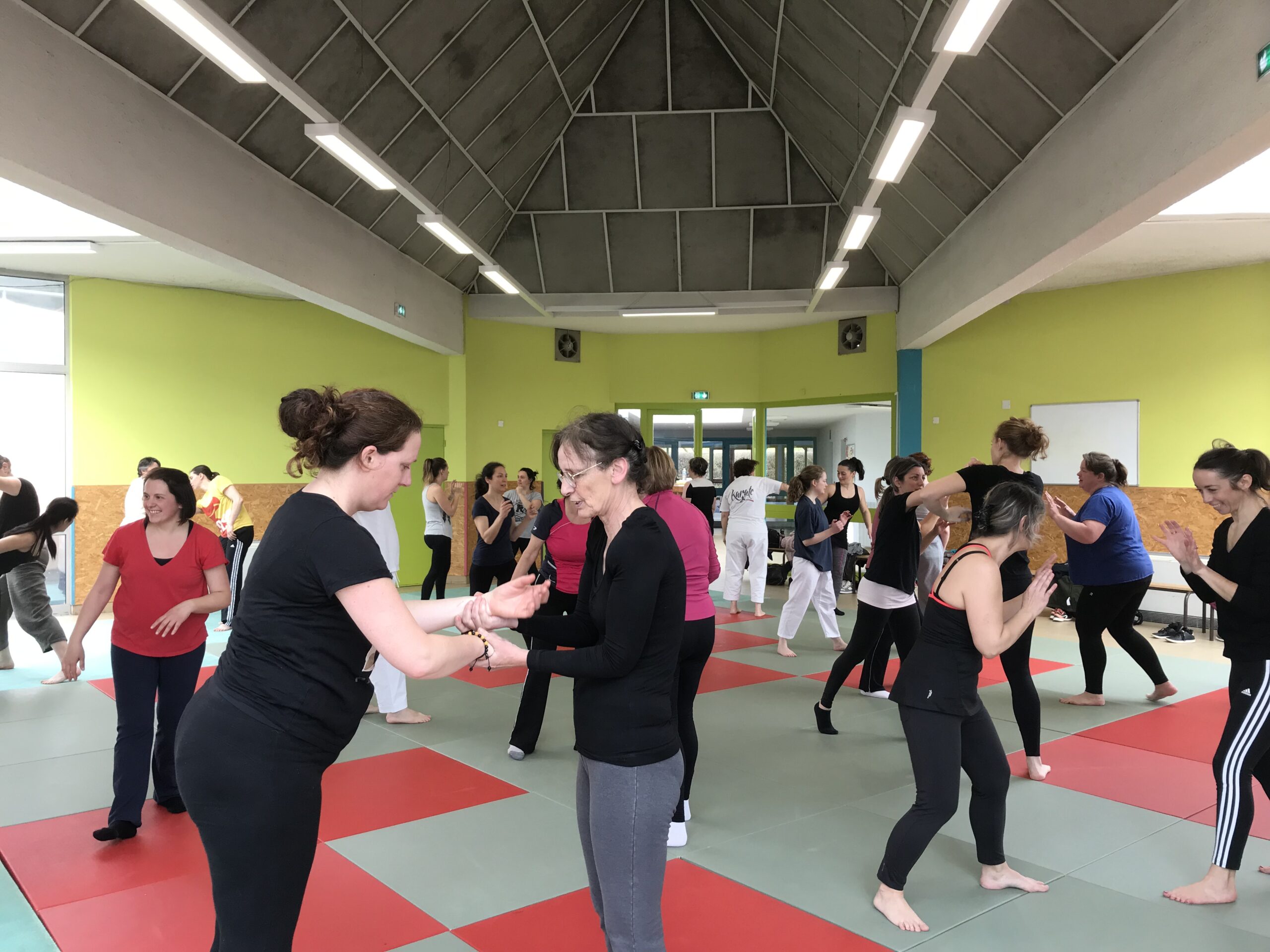 Stage d'initiation à la self-défense pour la Journée de la femme 2025 à Renaison et Roanne